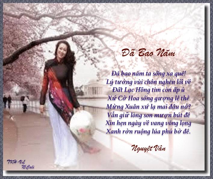 1796 DaBaoNam NgVan NCali