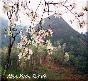 1826 1 MuaXuanTroVeNTTD