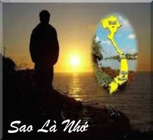1828 SaoLaNhoNgHoangBaoViet