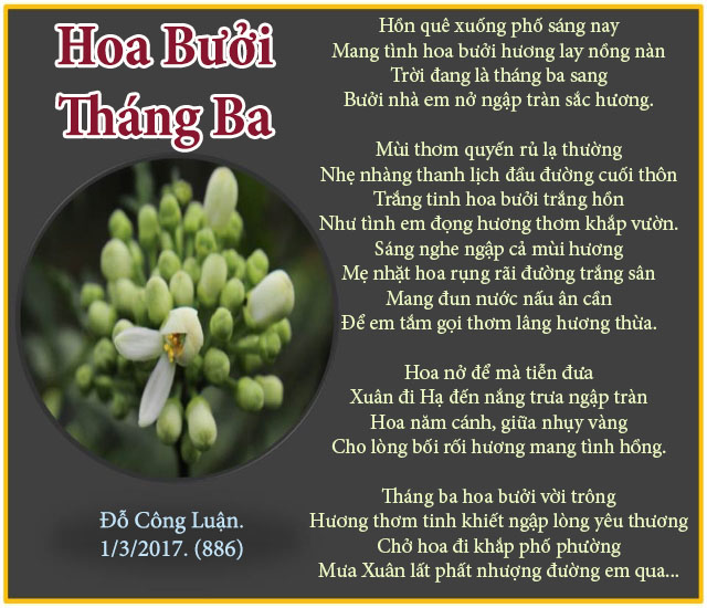 1891 HoaoBuoiThangBaDCL