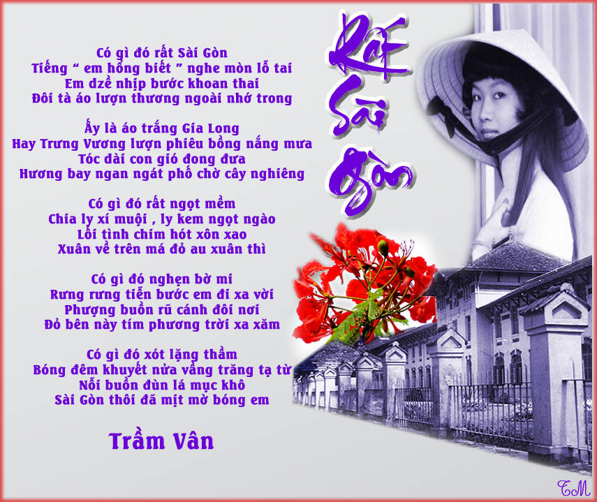 1896 Rat SaiGon TV TMien