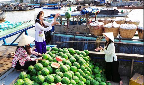 2092 6 cho noi tra on DHST