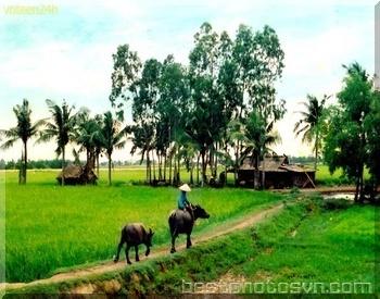 2281 2 MungTaSinhNhat75VLiem