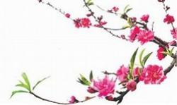 2203 2 XuanvaTetQueToiLNTD