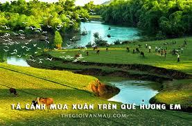 2355 6a CoNhungMuaXuanDTDB