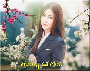 2313 HuongGioMoiHoang Yen