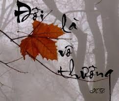 2509 LHYD VoThuongMinhLuong ST