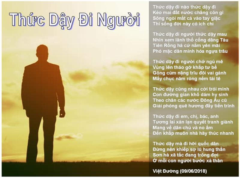 2584 ThucDayDiNguoiVietDuong Fr Internet