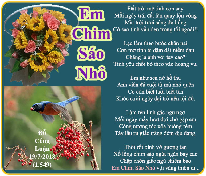 2607 TT em chim sáo nhỏ DCL