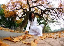 2749 Nhac ThuLaiVeMaiPham