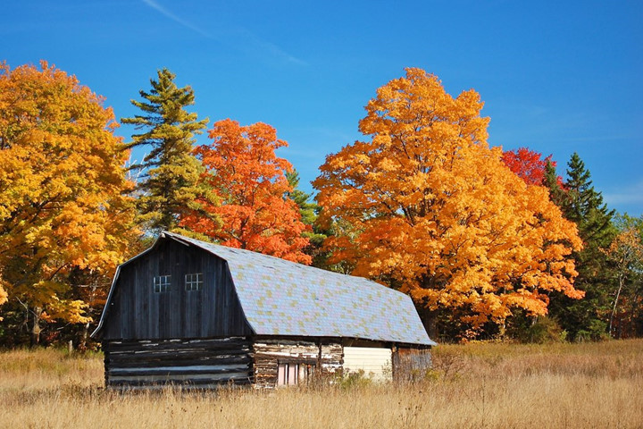 2843 9 CanhThuDepOMyNCaliST