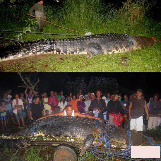 2949 4 ChiuyenLaDHST