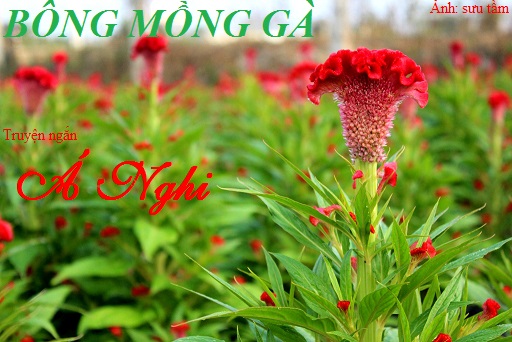 2923 3 BongMongGaA Nghi
