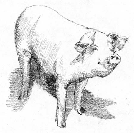 2976 4 HeoTrongCacNenVHDHST