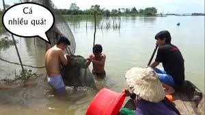 3082 Ve VL BatNhieuTomCaNCaliST