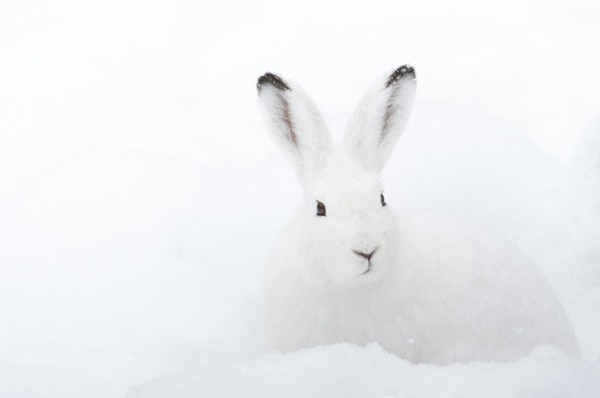 3158 11 NguyTrangCathy