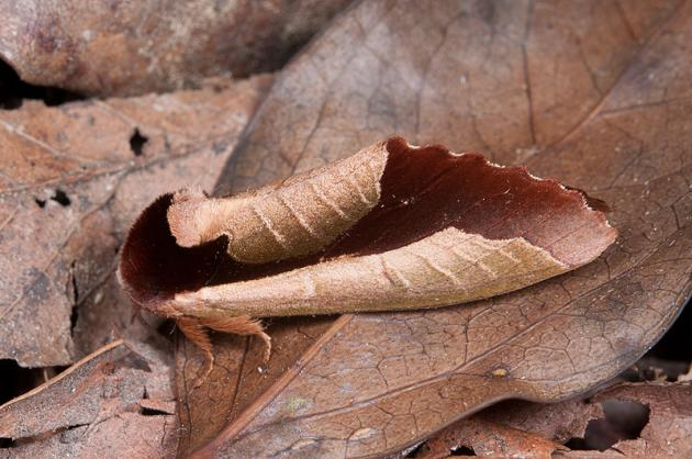 3158 2 NhungBacThayCathyST