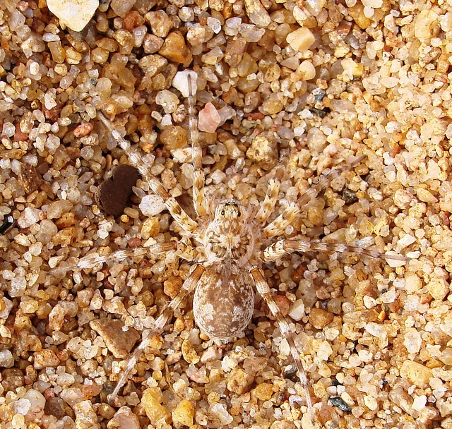 3158 6 NguyTrangCathy