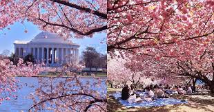 3166 HoaAnhDaoDCDH ST