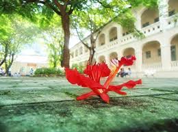 3195 XaMaiTruongNganThu