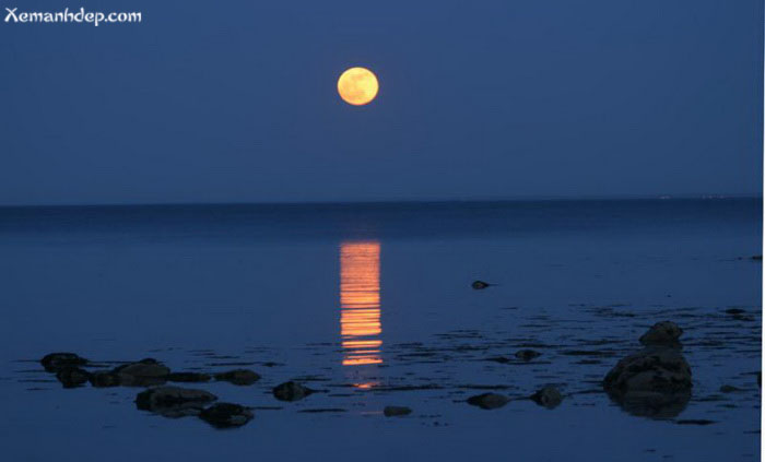 2796 2 GiongSongQueNgoaiLaoMaSon