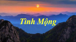 3516 TinhMong Hoa Van