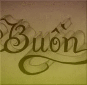 3558 1 BuonDTD
