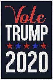 3839 2 VoteFrTrumpVLiem