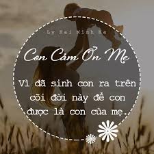 3867 1 CamOn MENVanThang