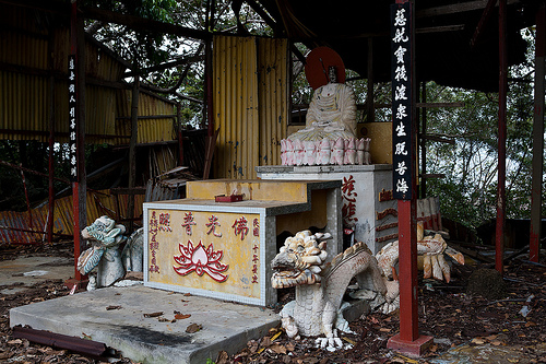 3895 6 NhungMuaTTDTDB