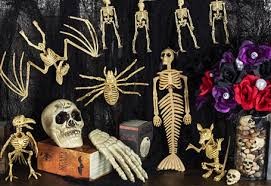 3927 2 Halloween2020LNTD
