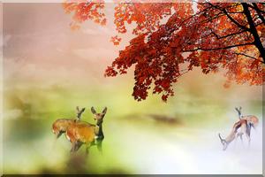 3930 5 TraiRimRhoHoaV