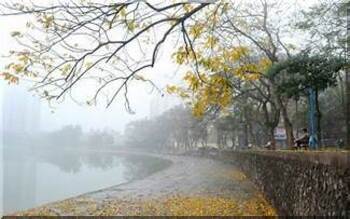 3961 1 LanhTroVeDoQuang