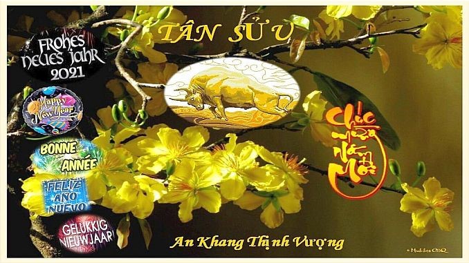 4031 TrauQuaCaDaoVNLeNgocChau TrNg ST