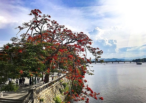 3956 4 NetDepSHgHL DH