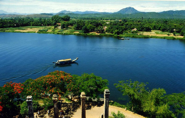 3956 6 NetDepSHgHL DH