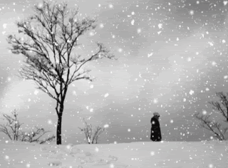 4041 4 TuyetNgapDuongDTDB