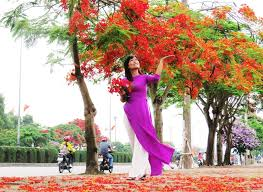 4062 6 ThgNguoiOLaiDVB