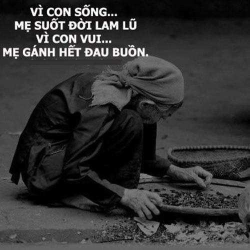 4105 4 CgChaNghiaMeHQB