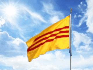 4112 1 LaCoVangChinhNghia