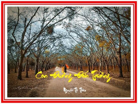 4069 1 ConDuongDenTruongNgThiThem