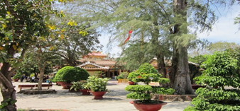 4141 1 NetDBietcuaDaoBSKHVLiem