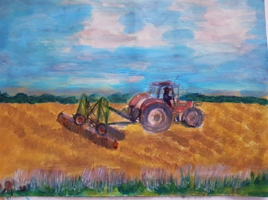 4189 1 BaoTonLgQueOPhapTTDung