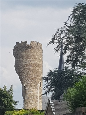 4189 3 BaoTonLgQuePhapTTD