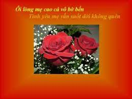 4204 1 MauHoaCaiAoDTDB