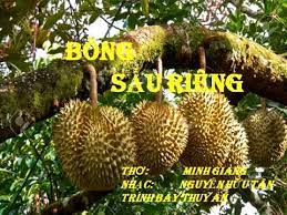 4217 2 BongSauRiengDTMG