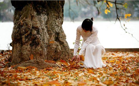 4234 1 ChiecLaThuNVThg