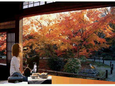 4234 2 ChiecLaThuNVThg