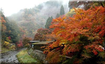 4242 3 YThuMLocTDich