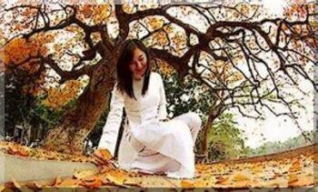 4224 3 VgThuLaDoKThanh